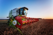 Внимание, аграрии❗️Уникальное предложение на DOMINATOR❗️